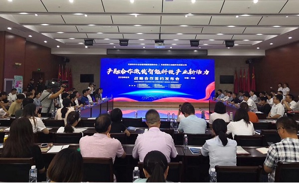 开云手机官方版登录入口-开云（中国）科技喜获千万级担保授信